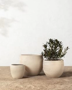 Bodie Tan Fiberstone Planter -Decoration Specialty Shop 20220110 Outdoor 012 a079b880 20e7 4cfa 80e3 f68ae7827650