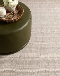 Baker Indoor/Outdoor Rug -Decoration Specialty Shop 20230309 SS Rug 001 T