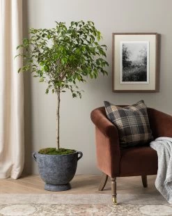 Clemence Lounge Chair 12 Clemence Lounge Chair -Decoration Specialty Shop 20230608 SS FallCatalogue 005 T ee04ede0 269e 4bb7 9ff1 3f642333fe01