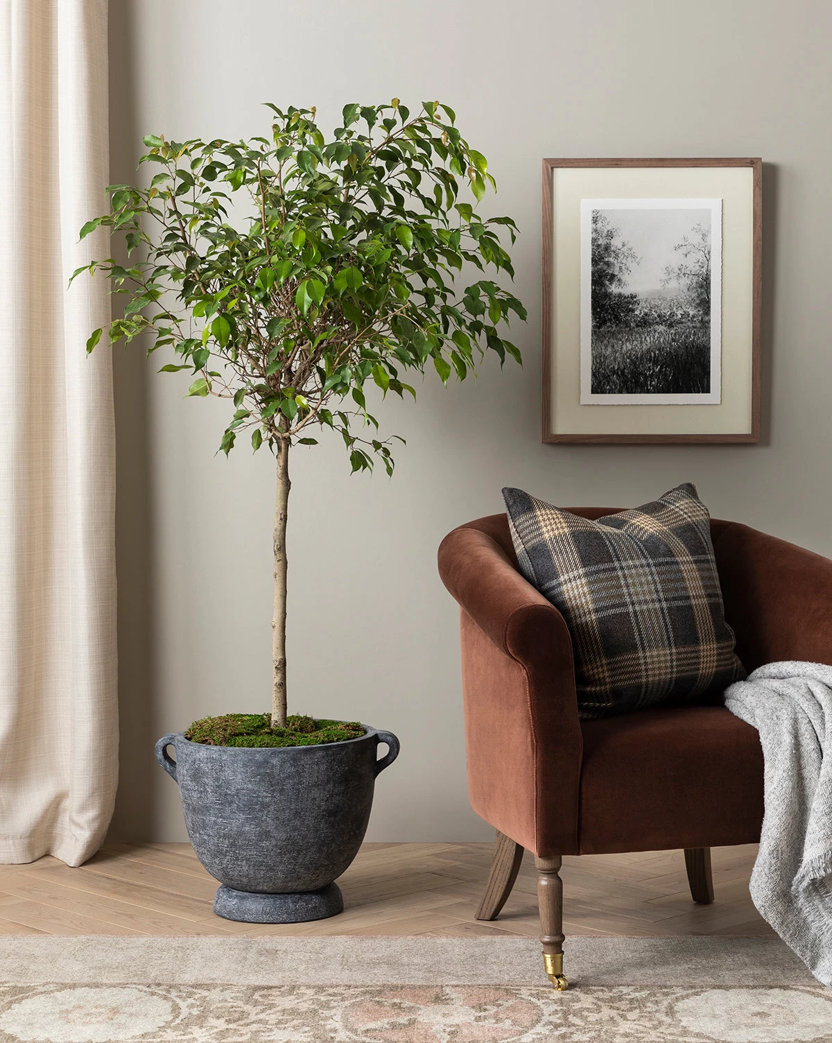 Clemence Lounge Chair 4 Clemence Lounge Chair - Image 4