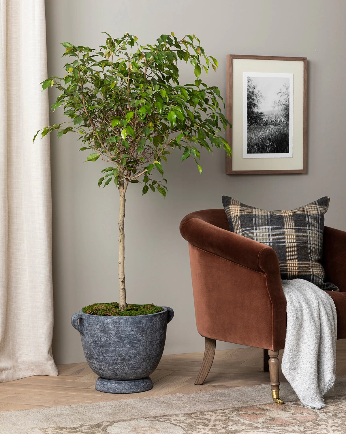 Esma Gray Fringed Throw 4 Esma Gray Fringed Throw - Image 4