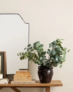 Burl Wood Box -Decoration Specialty Shop 20231205 SS Decor Greenery 015 T