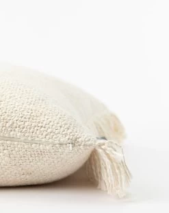 Aisling Pillow Cover -Decoration Specialty Shop AislingPillowCover MPLW1244 CRM 22x22 D1