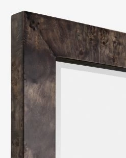 Alexia Rectangular Mirror -Decoration Specialty Shop AlexiaRectangularMirror MMIR0341 AGY 30x40 D2 T