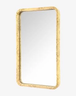 Clarissa Burl Mirror 11 Clarissa Burl Mirror -Decoration Specialty Shop ClarissaBurlMirror MMIR0337 BRL L D1 T