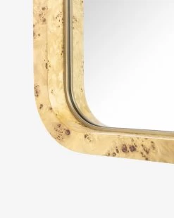 Clarissa Burl Mirror 8 Clarissa Burl Mirror -Decoration Specialty Shop ClarissaBurlMirror MMIR0337 BRL S D2 T