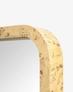 Clarissa Burl Mirror 9 Clarissa Burl Mirror -Decoration Specialty Shop ClarissaBurlMirror MMIR0337 BRL S D3 T