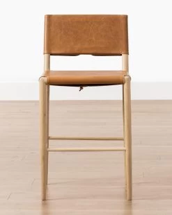Danson Counter Stool