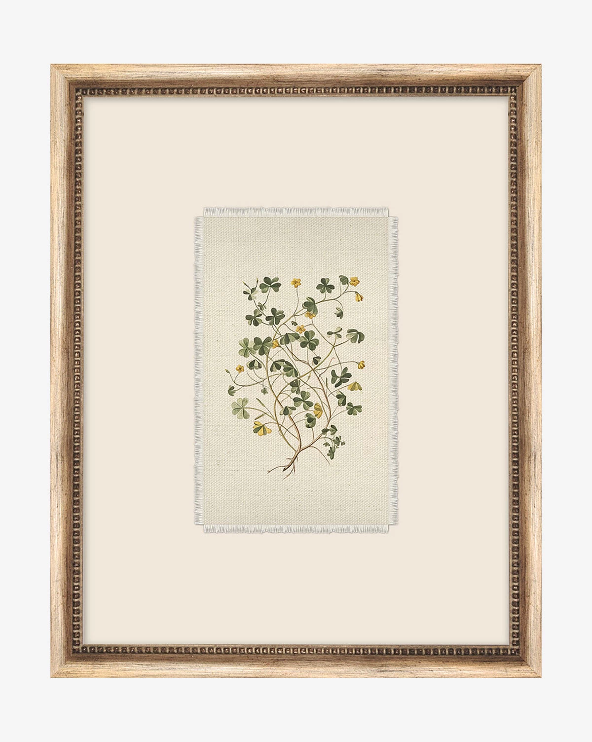 Delicate Floral Ll 1 Delicate Floral Ll