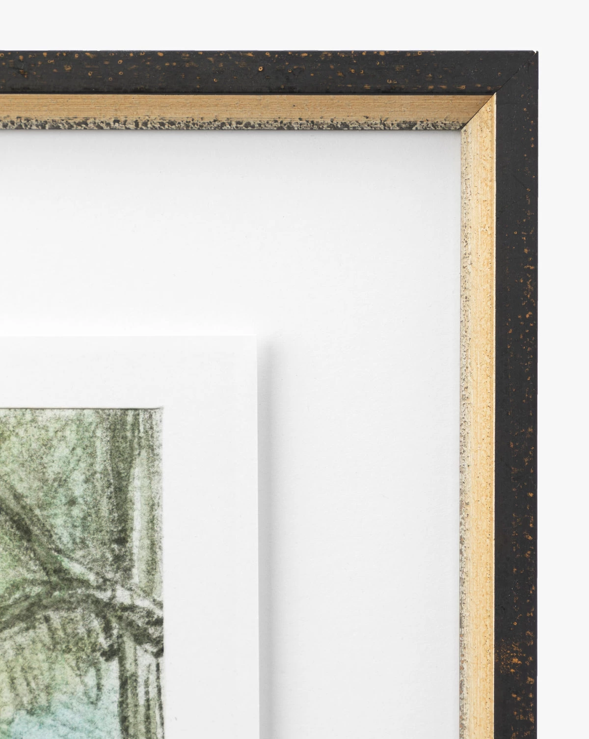 Eucalyptus Windows 2 Eucalyptus Windows - Image 2