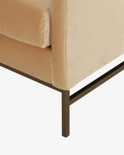 Fayette Lounge Chair -Decoration Specialty Shop FayetteLoungeChair MFRN2687 CAM OS D5