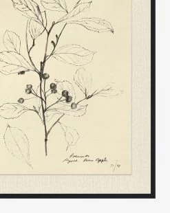 Floral Study 2 -Decoration Specialty Shop FloralStudy2 D1