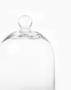 Glass Cloche -Decoration Specialty Shop GlassCloche MDCR1876 GLS OS D1