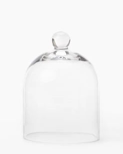 Glass Cloche