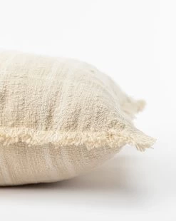 Hugo Indoor/Outdoor Pillow -Decoration Specialty Shop HugoIndoorOutdoorPillow MPLW1130 OWH 22x22 D1