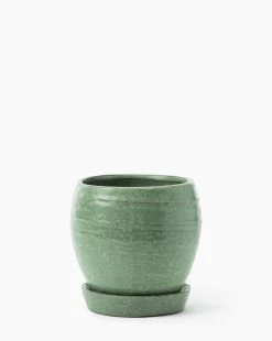 Jaycee Green Pot -Decoration Specialty Shop JayceeGreenPot MDCR2834 GRN L MAIN T