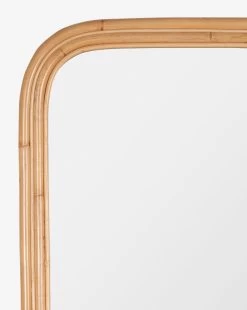 Kendry Wall Mirror -Decoration Specialty Shop KendryWallMirror MMIR0164 NAT 24x36 D2