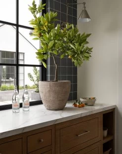 Textured Concrete Pot -Decoration Specialty Shop Mishurda Batch4 8