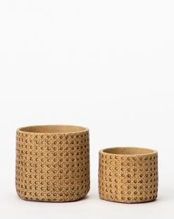 Natural Cement Planter (Set Of 2)