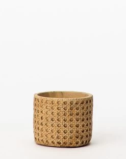 Natural Cement Planter (Set Of 2) -Decoration Specialty Shop NaturalCementPlanter Setof2 3