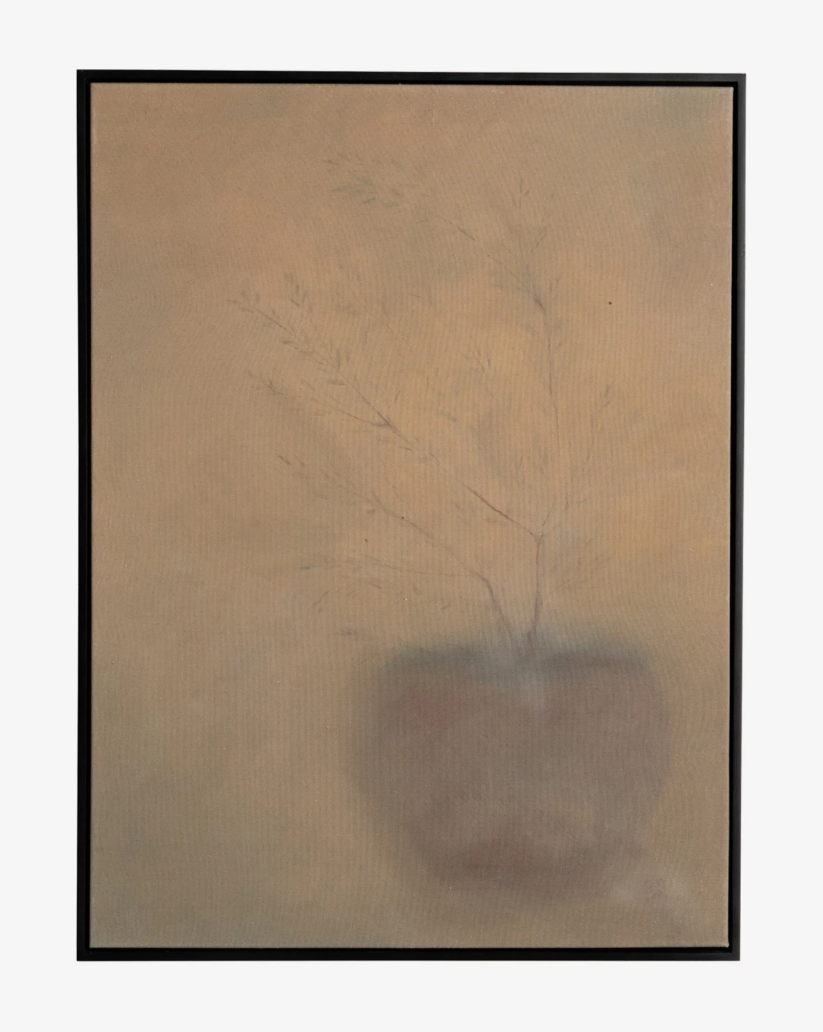 Olive Tree Silhouette 1 Olive Tree Silhouette