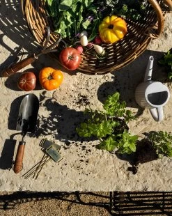 Gardening Cultivator -Decoration Specialty Shop Outdoor Templated 13 3b0c64c7 9f01 4d76 9bda cb1f9d0b53d8