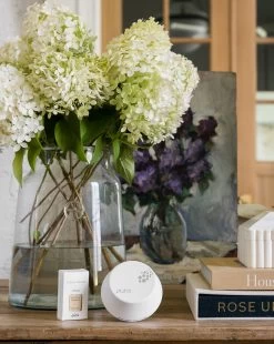 Pura X Studio McGee Sea Salt Driftwood Home Fragrance Refill -Decoration Specialty Shop Pura 9