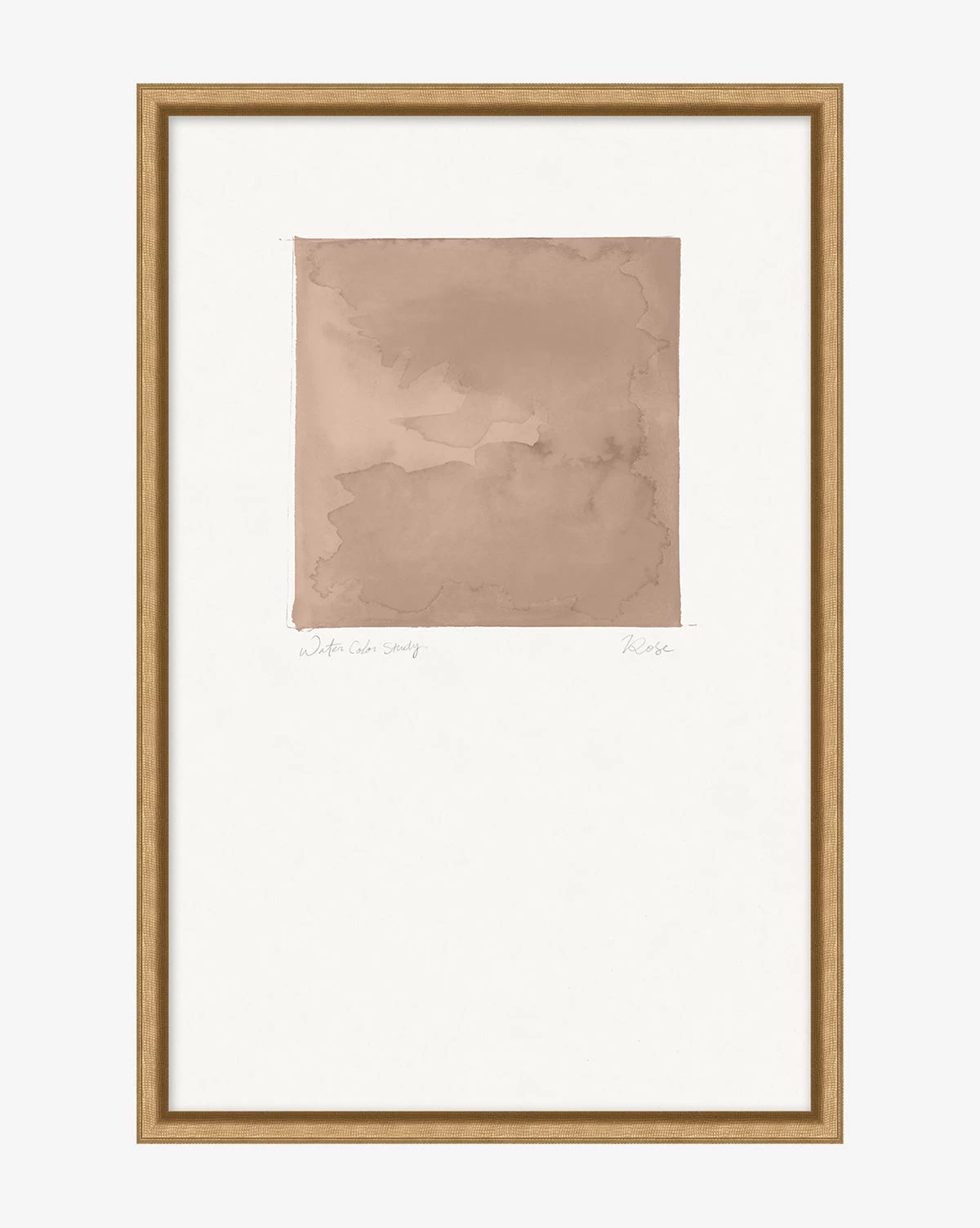 Rose Study 1 Rose Study