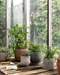 Golden Cement Pot -Decoration Specialty Shop Styled Outdoor 29 630705ed b697 427b 827b fe55964e327b