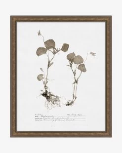 Subdued Botanicals II