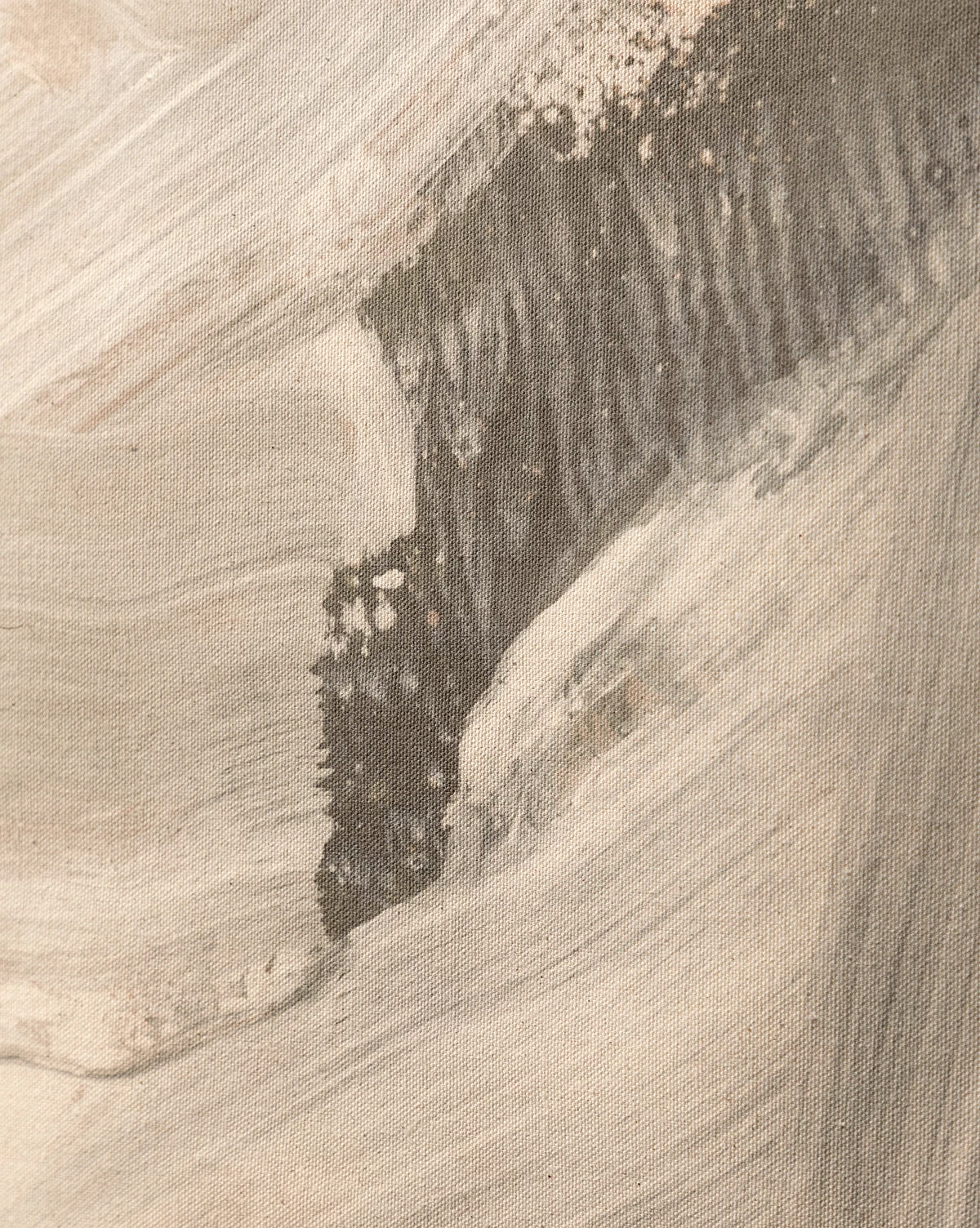 Swath 2 Sepia 4 Swath 2 Sepia - Image 4