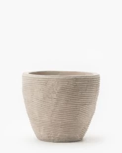 Textured Concrete Pot