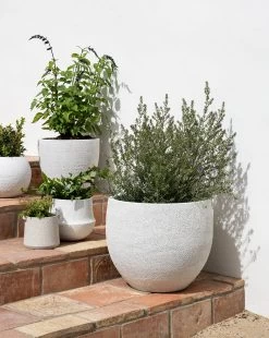 Bodie Fiberstone Planter 9 Bodie Fiberstone Planter -Decoration Specialty Shop call 210406 MCGEE 0980