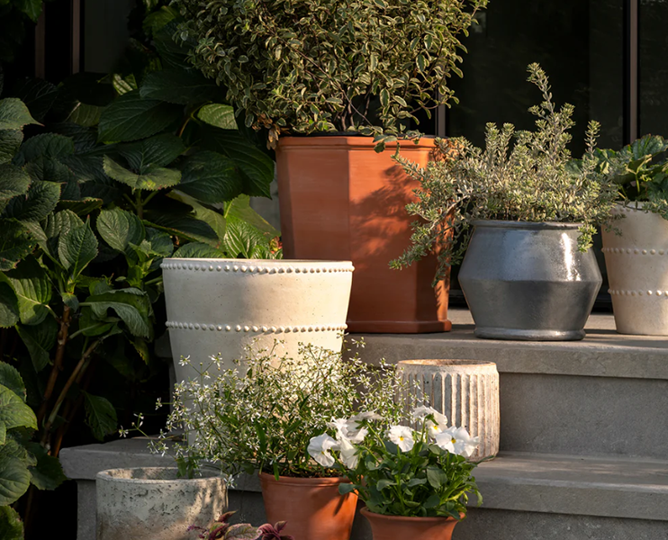 Decoration Specialty Shop -Decoration Specialty Shop 19de4bce37f57d8fcf993c8538b40e38